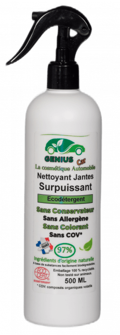 P1099633 webgrand 249x690 - Conseil : comment laver sa voiture comme un pro
