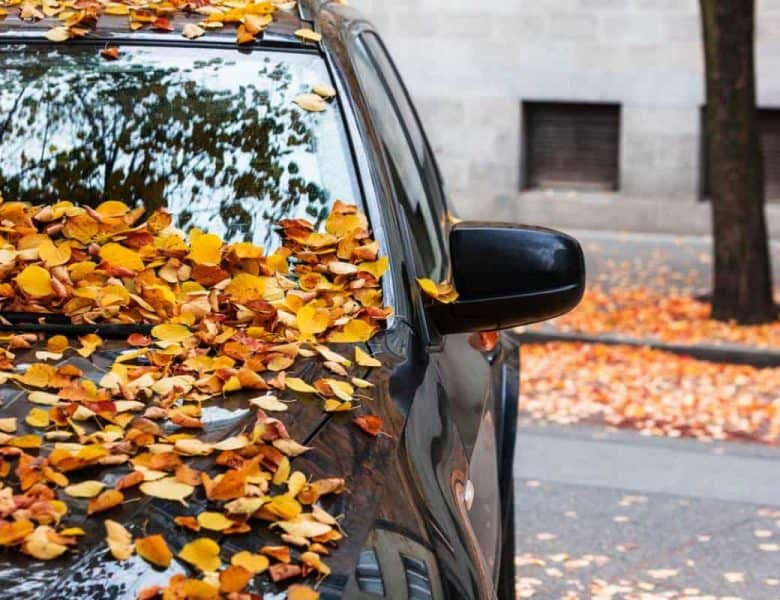 Housse de protection de carrosserie : quels usages ?