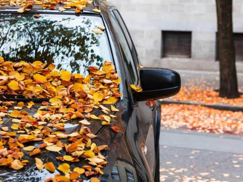Housse de protection de carrosserie : quels usages ?
